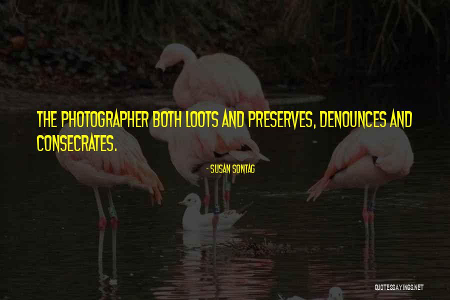 Loots Quotes By Susan Sontag Loots Quotes By Susan Sontag