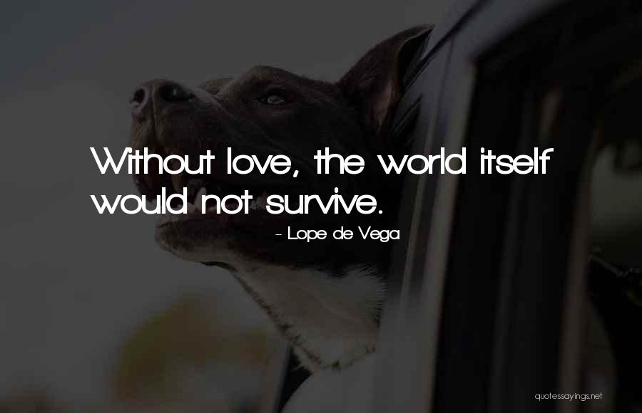 Lope De Vega Quotes 2168658