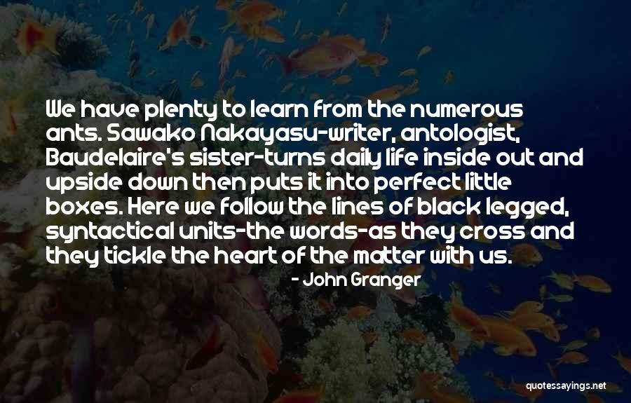 Lopello Quotes By John Granger Lopello Quotes By John Granger