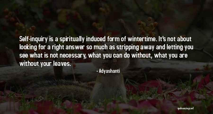 Loprazamine Quotes By Adyashanti Loprazamine Quotes By Adyashanti