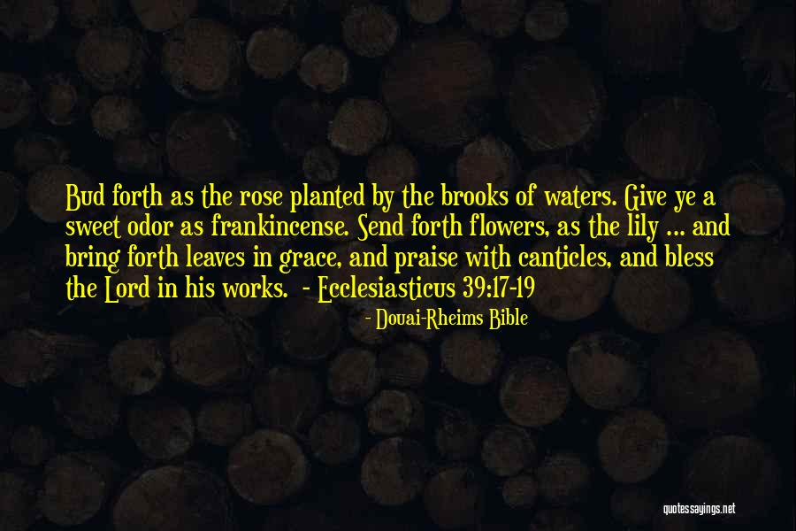 Lord Give Quotes By Douai-Rheims Bible Lord Give Quotes By Douai-Rheims Bible