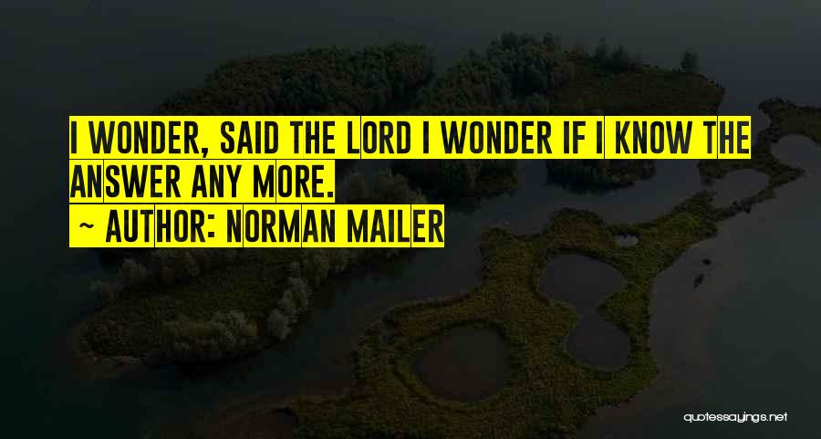 Lord God Quotes By Norman Mailer