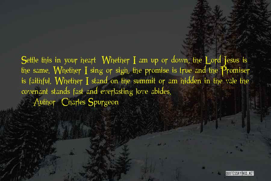 Lord Jesus Love Quotes By Charles Spurgeon