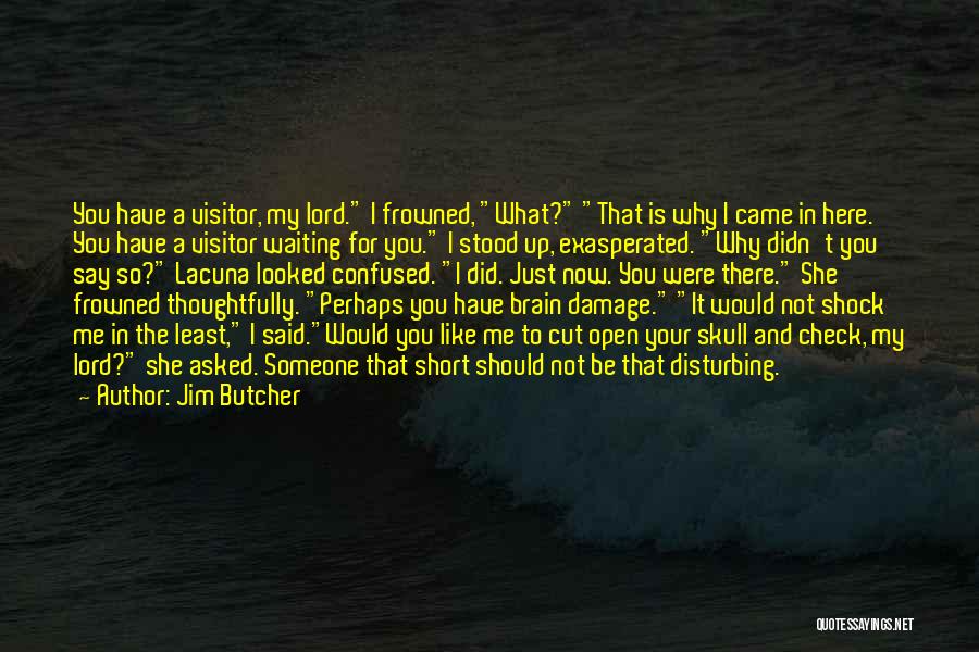 Lord Jim Quotes By Jim Butcher