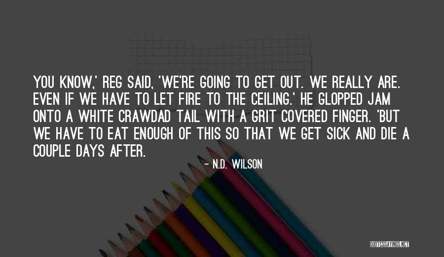 Lord Jonathan Sacks Quotes By N.D. Wilson Lord Jonathan Sacks Quotes By N.D. Wilson