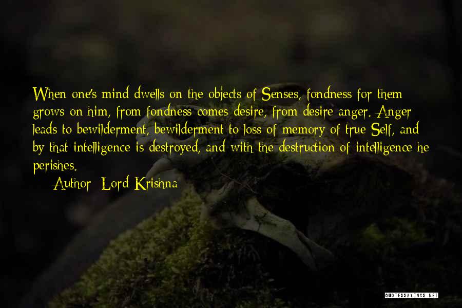 Lord Krishna Quotes 1722708