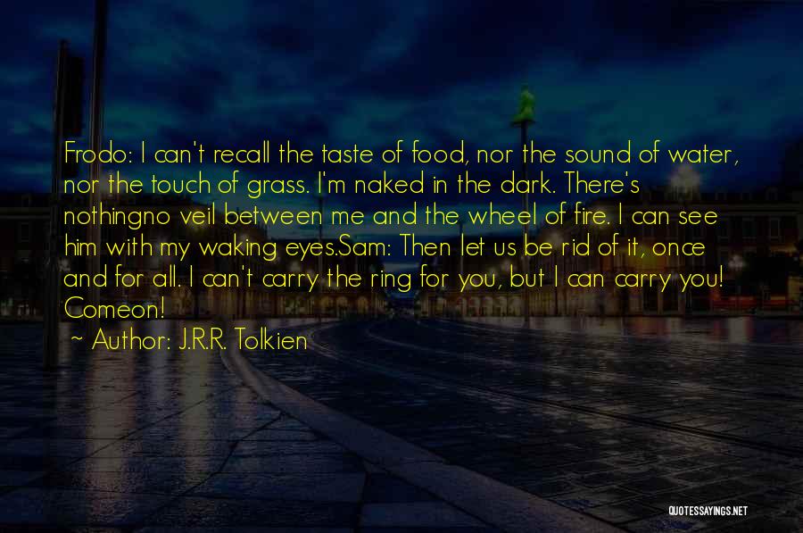 Lord Of The Ring Quotes By J.R.R. Tolkien