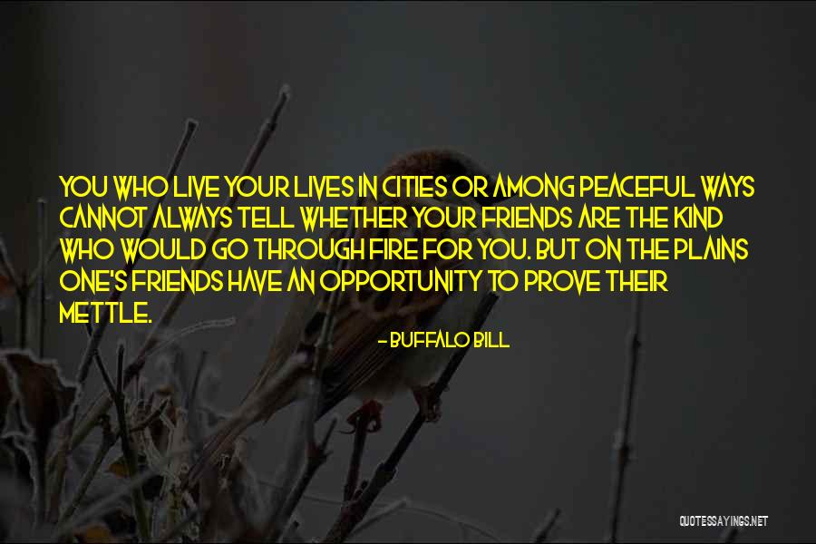 Lord Of The Rings Return Of The King Quotes By Buffalo Bill Lord Of The Rings Return Of The King Quotes By Buffalo Bill