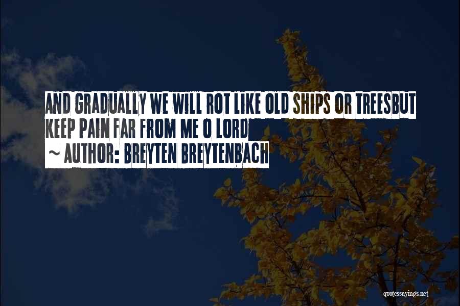 Lord Pain Quotes By Breyten Breytenbach