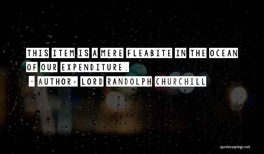 Lord Randolph Churchill Quotes 1349240