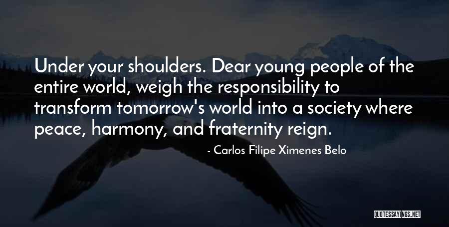 Lord Steyn Quotes By Carlos Filipe Ximenes Belo Lord Steyn Quotes By Carlos Filipe Ximenes Belo