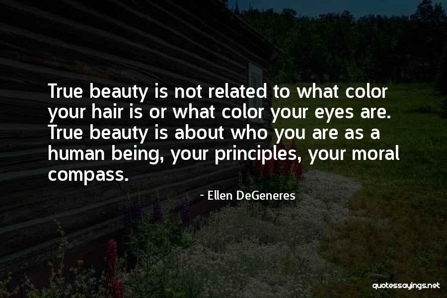 Lordesshrinelitchfieldcttagsale2019 Quotes By Ellen DeGeneres Lordesshrinelitchfieldcttagsale2019 Quotes By Ellen DeGeneres