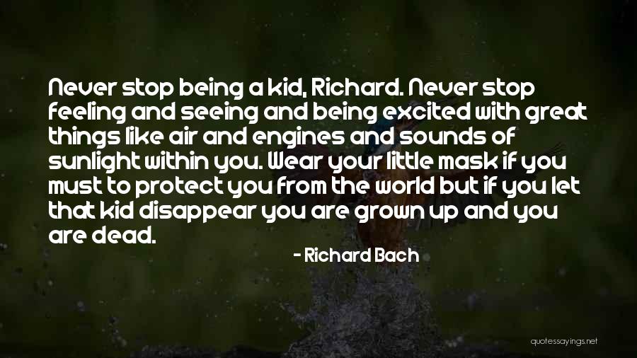 Lorelei Martins Quotes By Richard Bach Lorelei Martins Quotes By Richard Bach