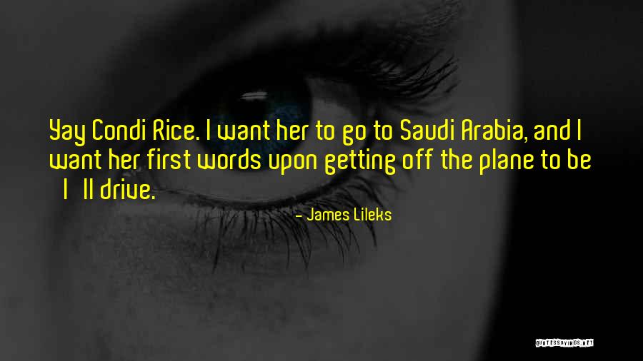 Loremo Quotes By James Lileks Loremo Quotes By James Lileks