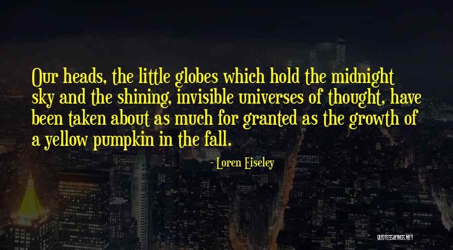 Loren Eiseley Quotes 1211916