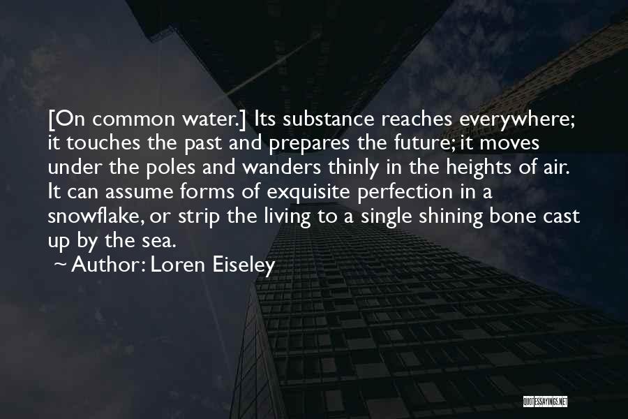 Loren Eiseley Quotes 1667193