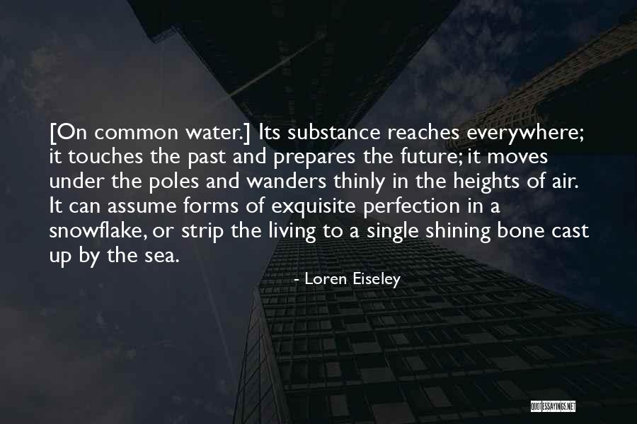 Loren Eiseley Quotes 1667193