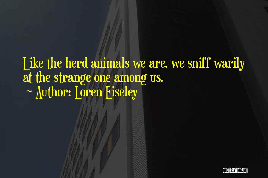 Loren Eiseley Quotes 2148768