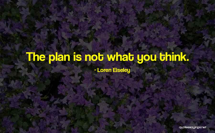 Loren Eiseley Quotes 358078