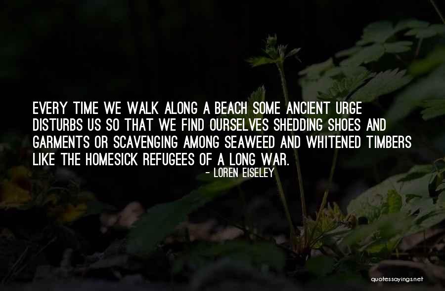 Loren Eiseley Quotes 476859