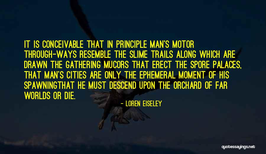 Loren Eiseley Quotes 895404