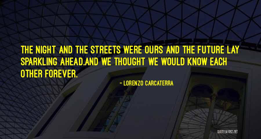 Lorenzo Carcaterra Quotes 109045 Lorenzo Carcaterra Quotes 109045