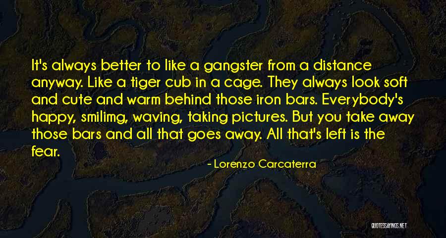 Lorenzo Carcaterra Quotes 546627