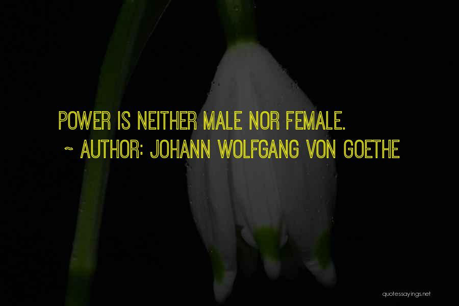 Loreza Tate Quotes By Johann Wolfgang Von Goethe