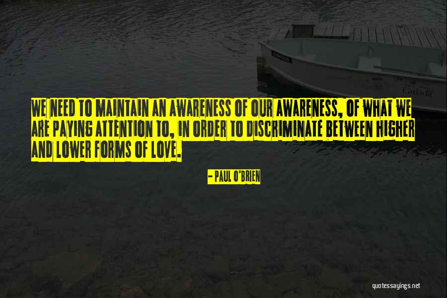 Lorien Hotel Quotes By Paul O'Brien Lorien Hotel Quotes By Paul O'Brien