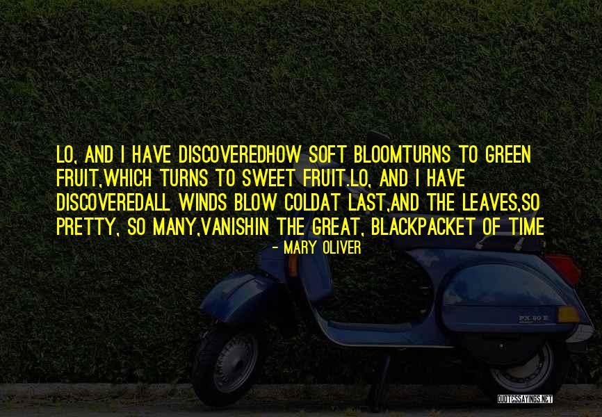Loriers Traiteur Quotes By Mary Oliver Loriers Traiteur Quotes By Mary Oliver