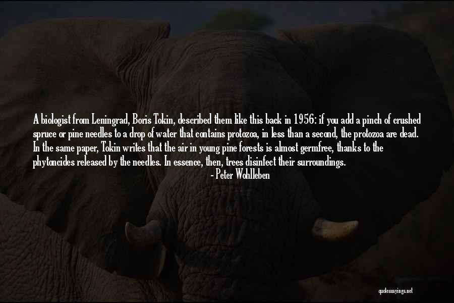 Lormont Sharp Quotes By Peter Wohlleben Lormont Sharp Quotes By Peter Wohlleben