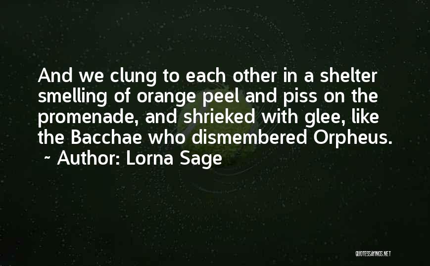 Lorna Sage Quotes 395349