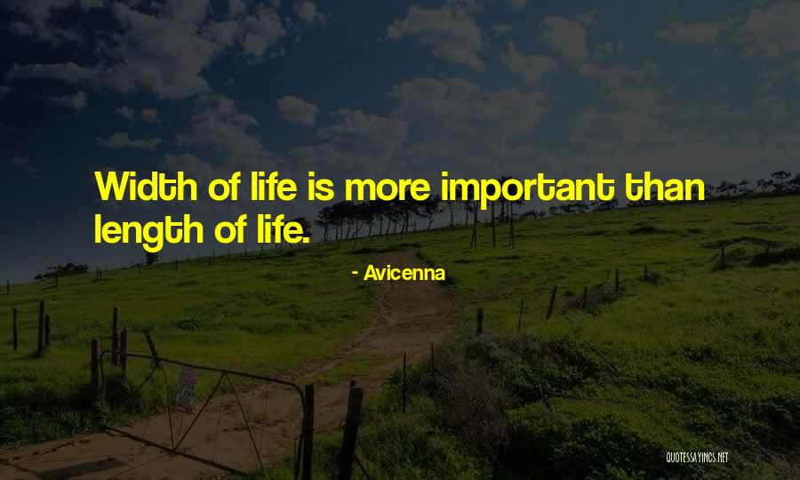 Loron Optical Wyomissing Quotes By Avicenna Loron Optical Wyomissing Quotes By Avicenna