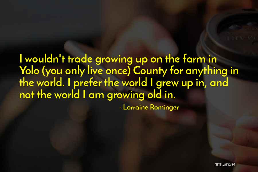 Lorraine Rominger Quotes 1417440