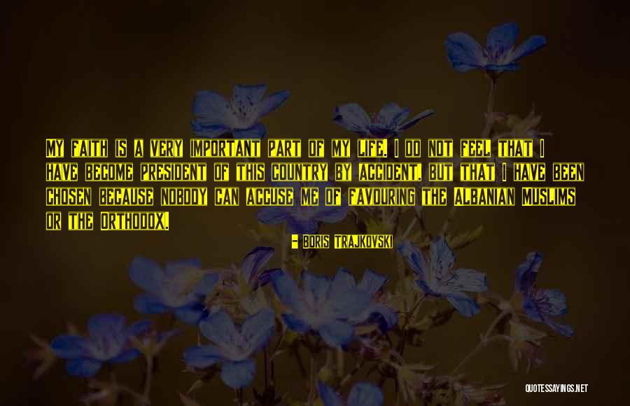 Lortie And Sons Quotes By Boris Trajkovski Lortie And Sons Quotes By Boris Trajkovski