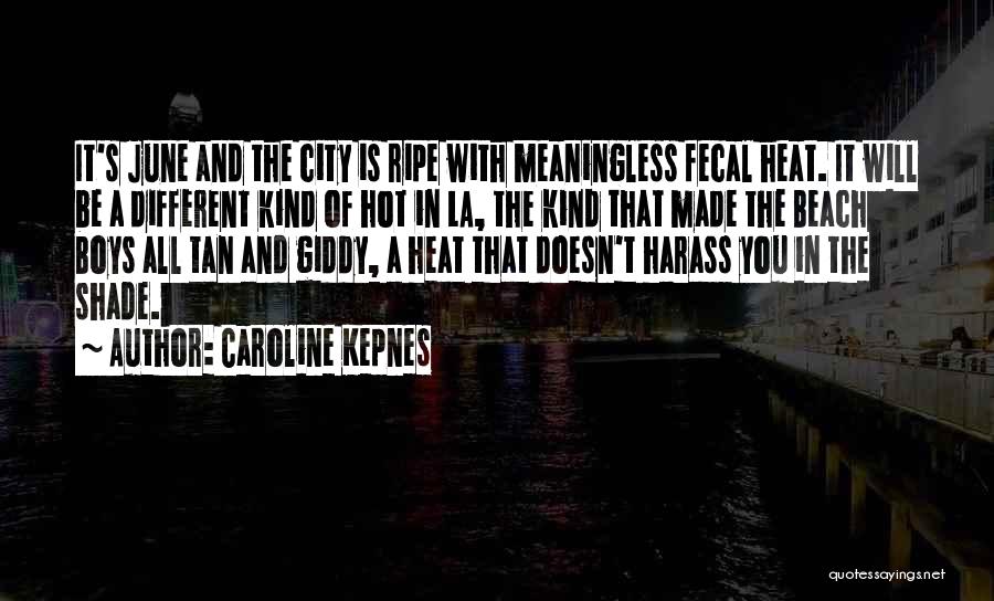 Los Angeles City Quotes By Caroline Kepnes