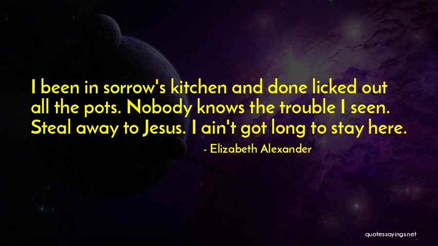 Los Diarios De Motocicleta Quotes By Elizabeth Alexander Los Diarios De Motocicleta Quotes By Elizabeth Alexander