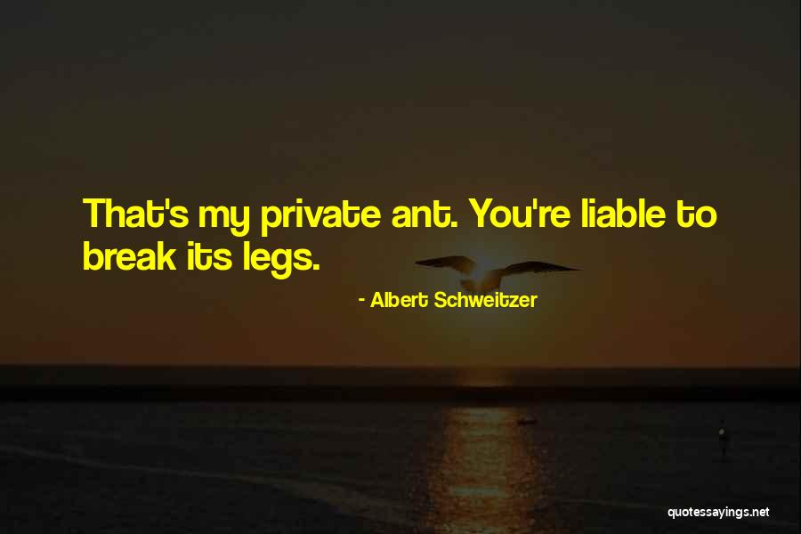 Los Pinitos Quotes By Albert Schweitzer Los Pinitos Quotes By Albert Schweitzer