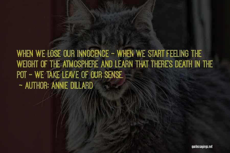 Lose Weight Quotes By Annie Dillard