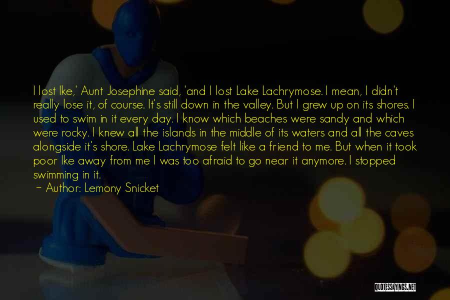 Lose Your Best Friend Quotes By Lemony Snicket