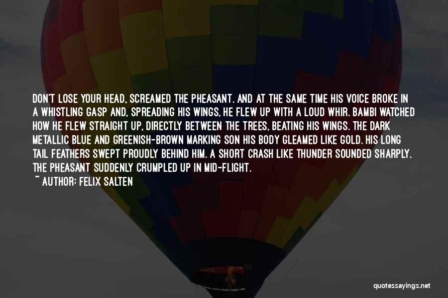 Lose Your Head Quotes By Felix Salten
