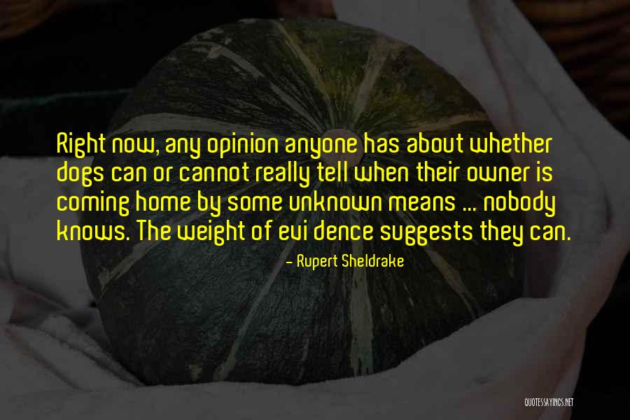 Losedebtstvcommercial Quotes By Rupert Sheldrake Losedebtstvcommercial Quotes By Rupert Sheldrake