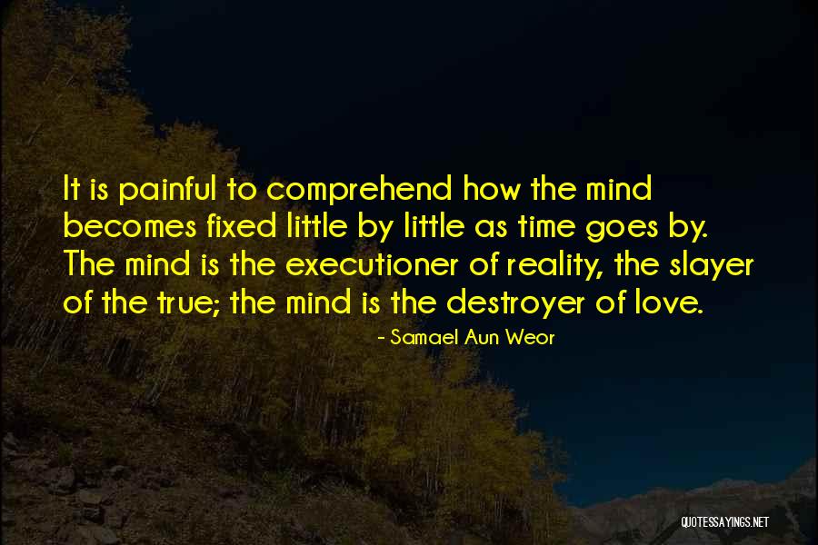 Losing A Baby Nephew Quotes By Samael Aun Weor Losing A Baby Nephew Quotes By Samael Aun Weor