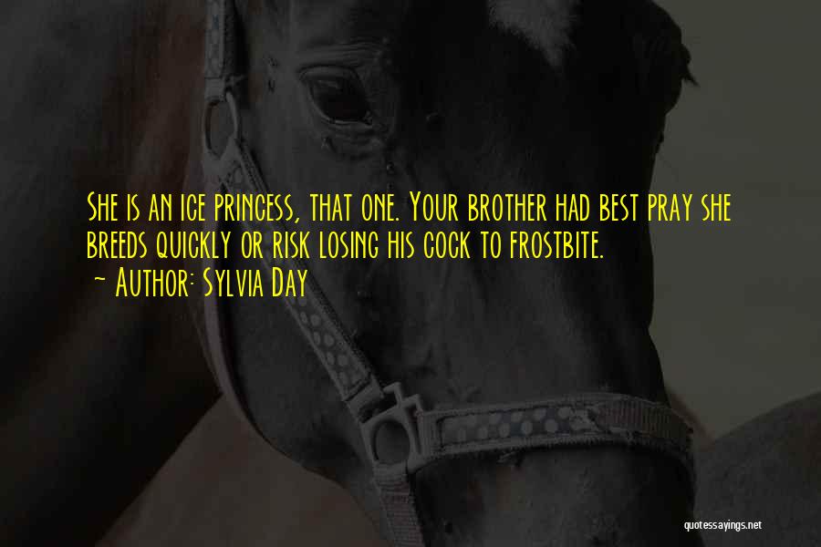 Losing A Brother Quotes By Sylvia Day