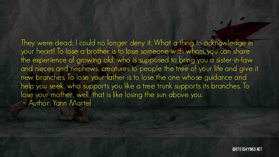 Losing A Brother Quotes By Yann Martel