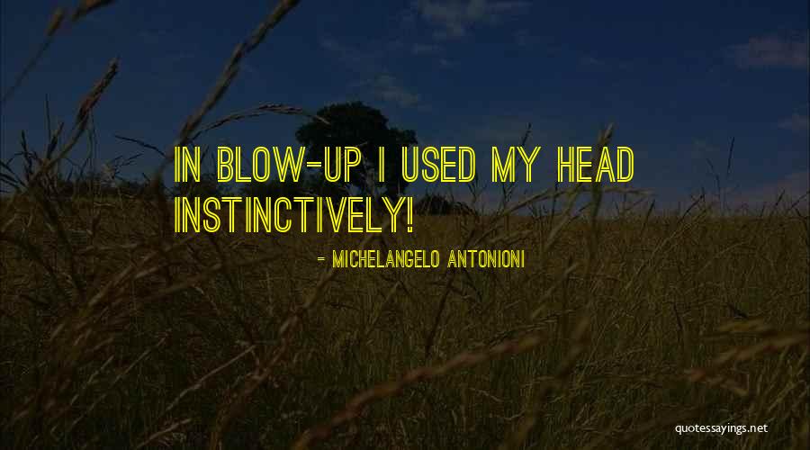Losing A Nephew Quotes By Michelangelo Antonioni Losing A Nephew Quotes By Michelangelo Antonioni
