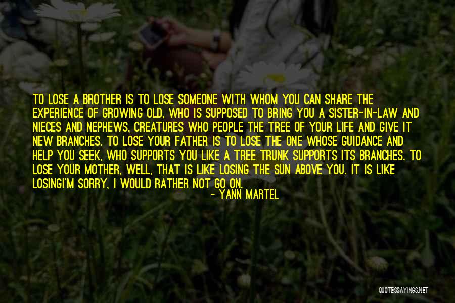 Losing Brother Death Quotes By Yann Martel