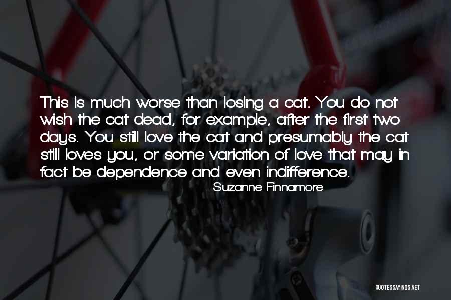 Losing Cat Quotes By Suzanne Finnamore Losing Cat Quotes By Suzanne Finnamore