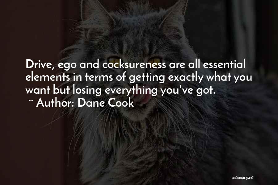 Losing Everything Quotes By Dane Cook