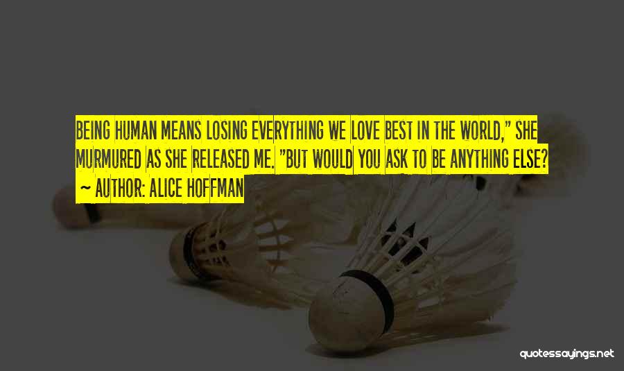 Losing Everything You Love Quotes By Alice Hoffman